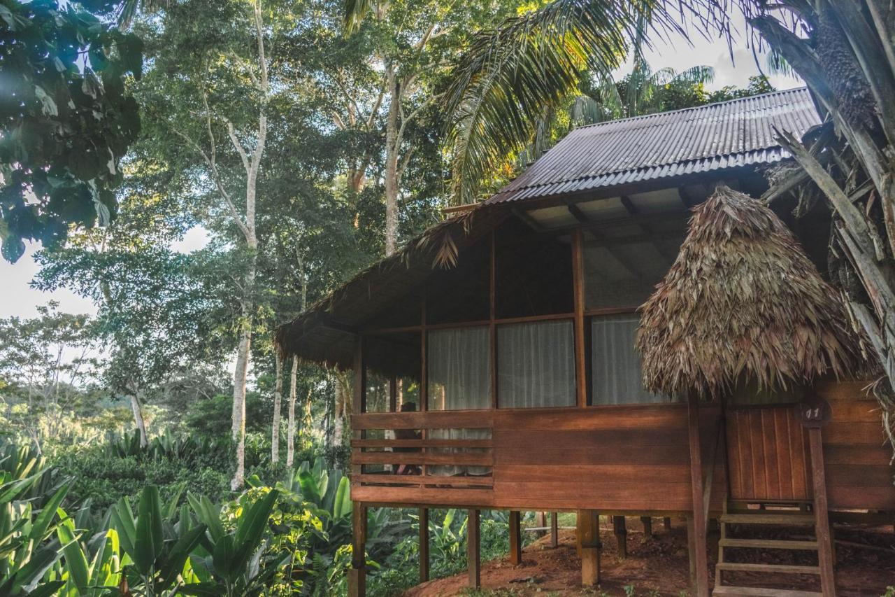 Wasai Tambopata Lodge Extérieur photo